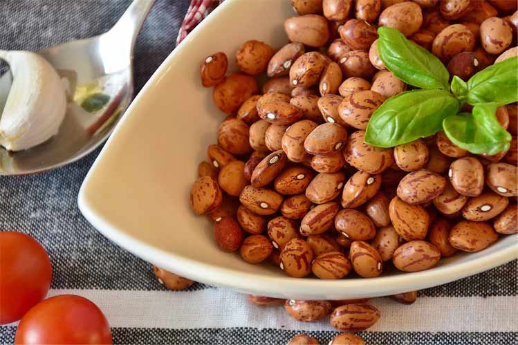 foods for weight loss