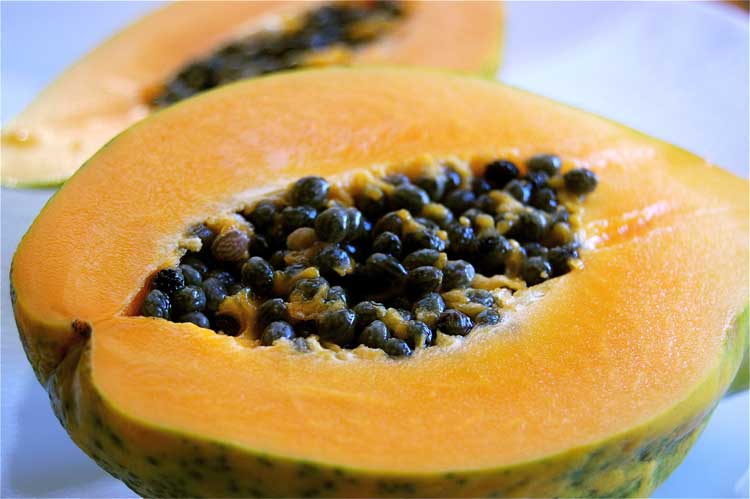 best foods to eat
