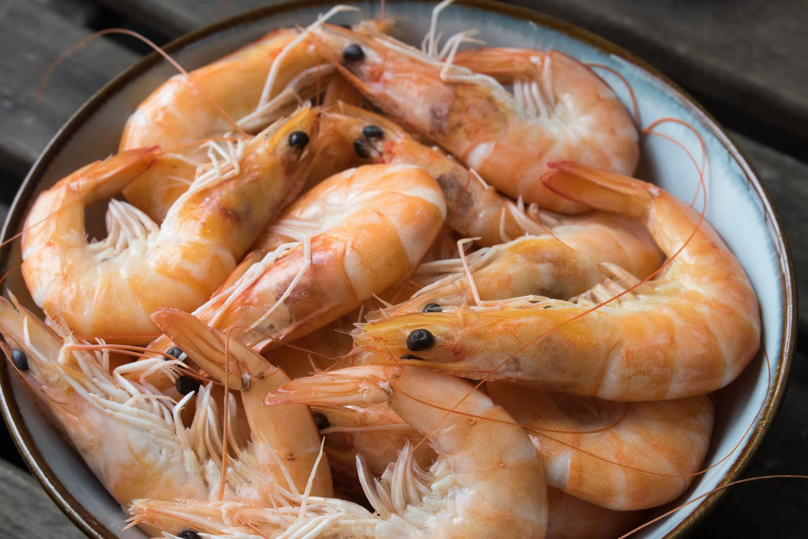 Freezer Burned Shrimp Tips To Identify And Store It