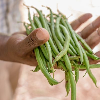 Green beans – Can You Eat Them Raw? | By Recipedev
