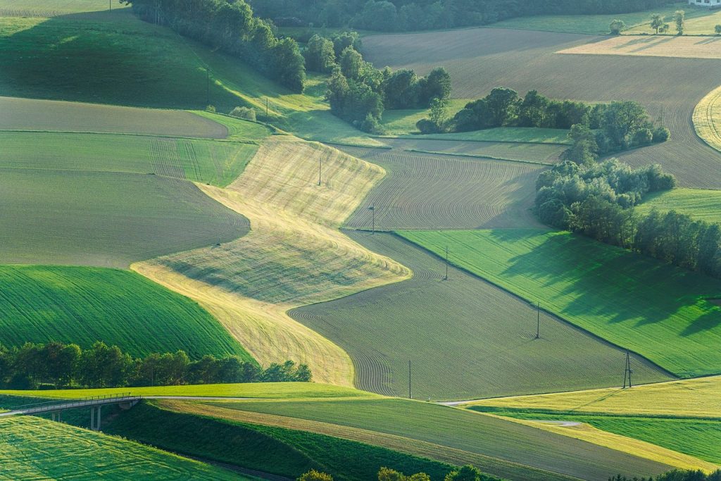 Russian Grain Exports Suspended As ‘Weaponizing Food’