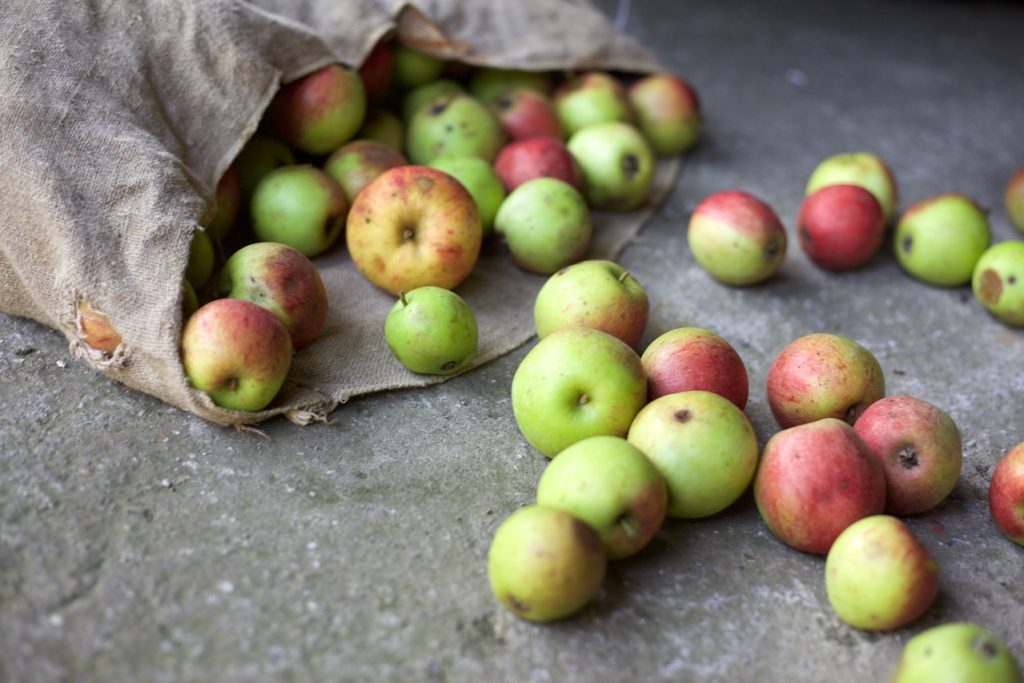 Is It true American’s Waste 30% To 40% Of Food Every Year?