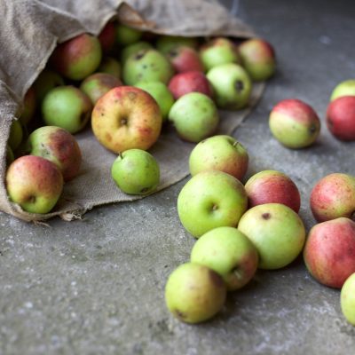 Is It true American’s Waste 30% To 40% Of Food Every Year?