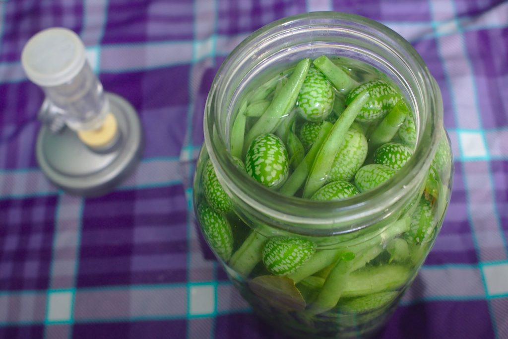 Green Beans With Vinegar And Salt