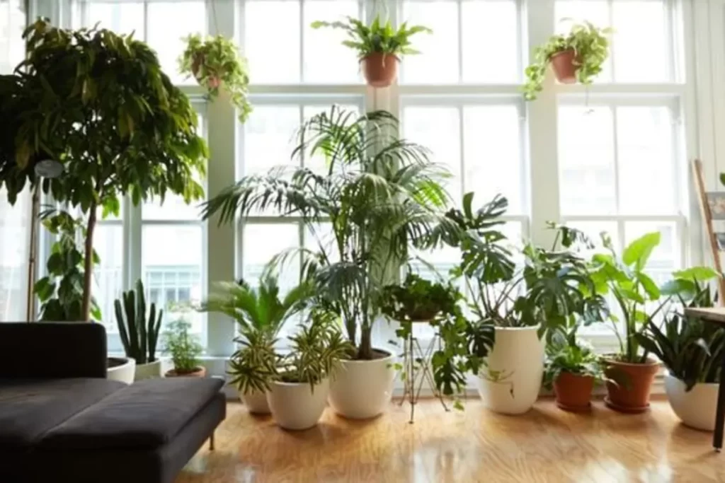 Illuminating Life: How Plant Lights Can Enhance Urban Living